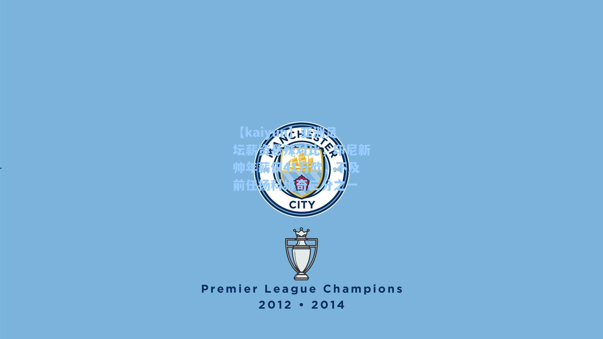 亚洲足坛薪资悬殊对比，印尼新帅年薪仅41万欧，不及前任扬科维奇三分之一